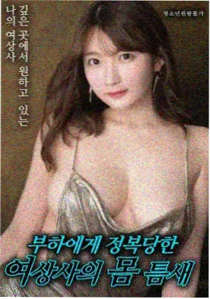 第七码头电影封面